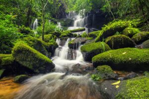 beautiful waterfall in green forest in jungle at phu tub berk mountain , phetchabun , Thailand